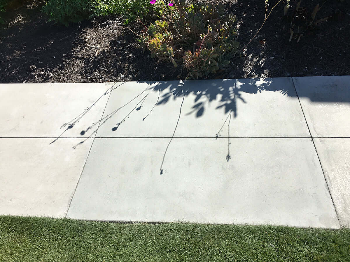 Restored concrete sidewalk with shadows of plants, showcasing a clean and smooth surface adjacent to a landscaped garden.