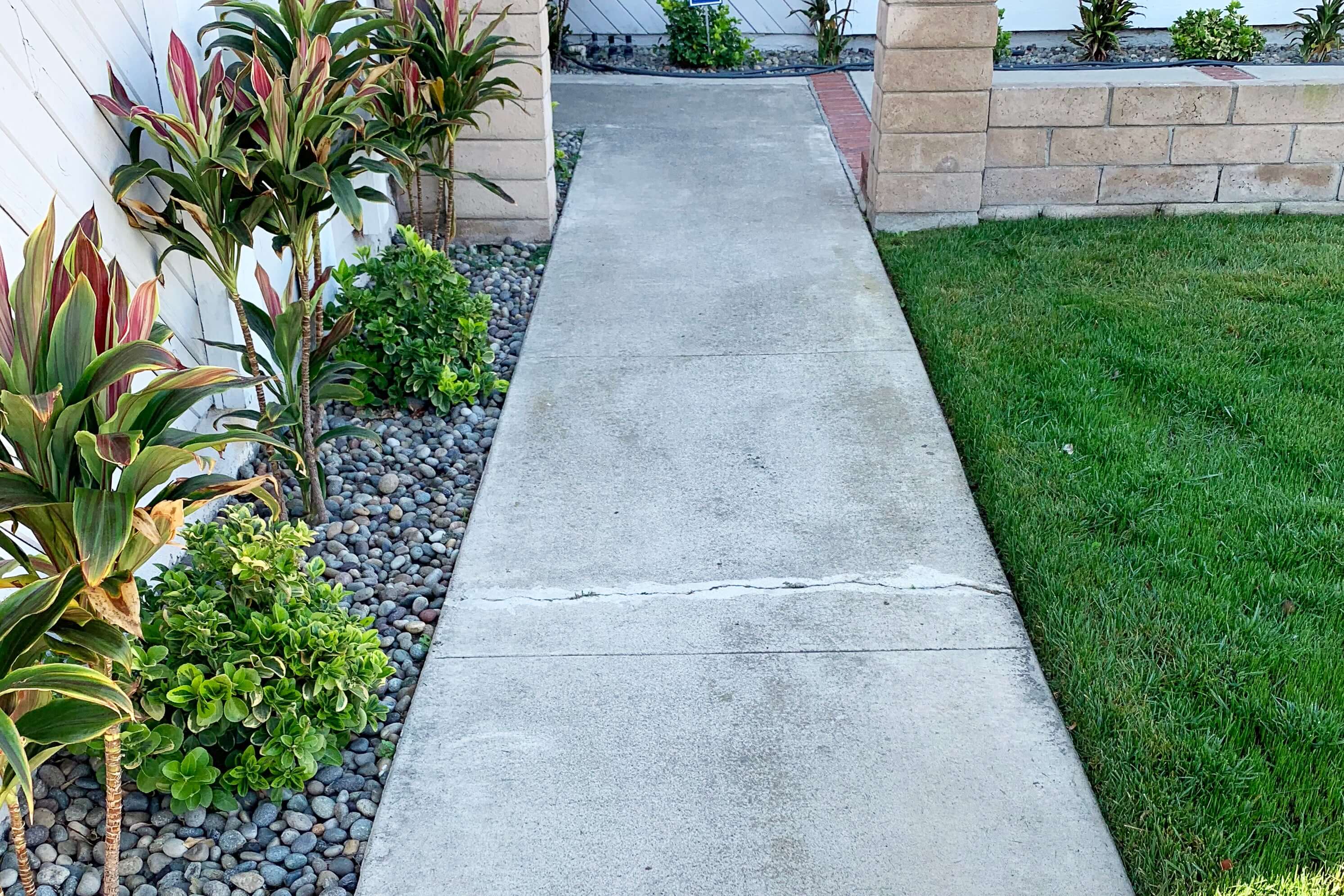 Concrete walkway with visible crack in need of restoration, surrounded by lush green grass and decorative plants.